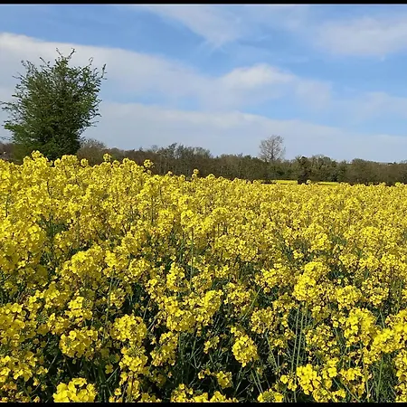 Country In Irelands Ancient East *