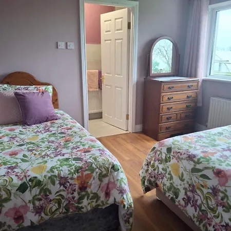 Country In Irelands Ancient East