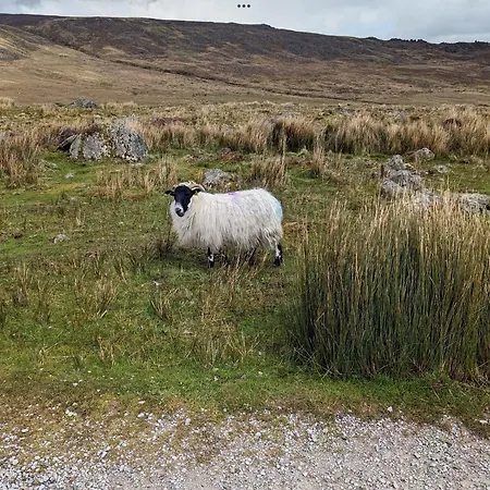 Country In Irelands Ancient East
