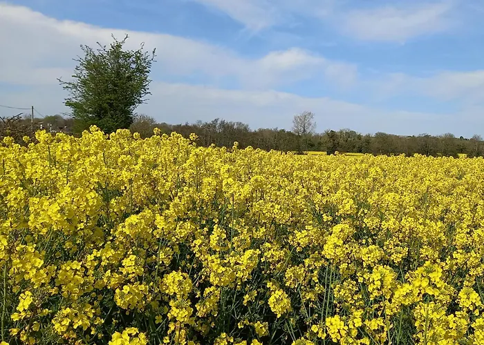Country In Irelands Ancient East *