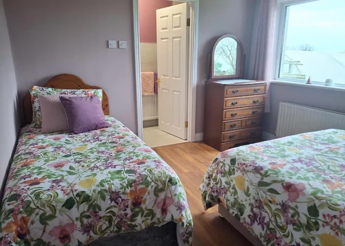 Country In Irelands Ancient East