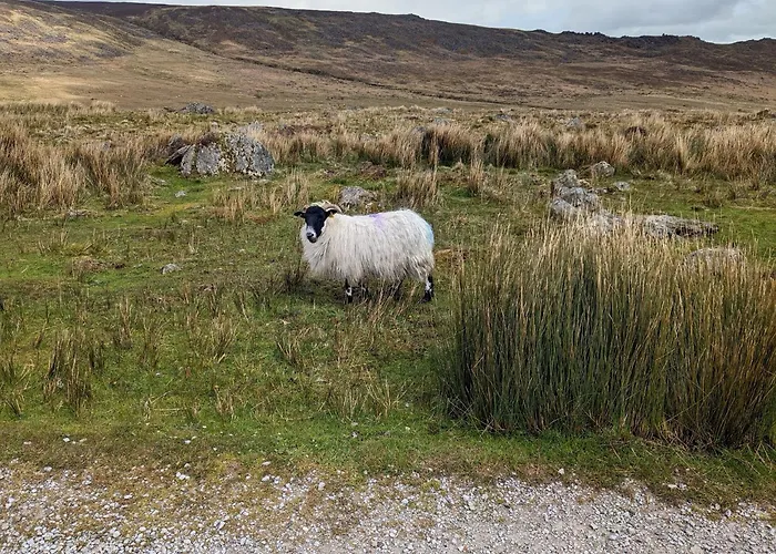 Country In Irelands Ancient East